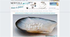 Desktop Screenshot of netperla.com